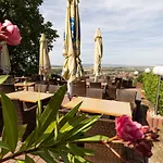 Hotel-restaurant Weinberg 3* Artern