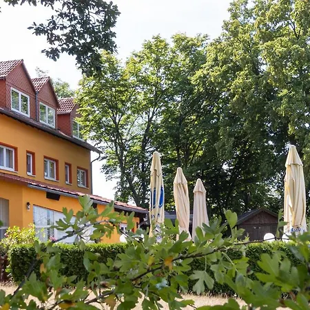 Hotel Hotel-restaurant Weinberg Artern