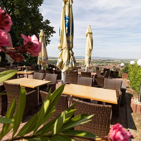 Hotel-restaurant Weinberg Hotel Artern