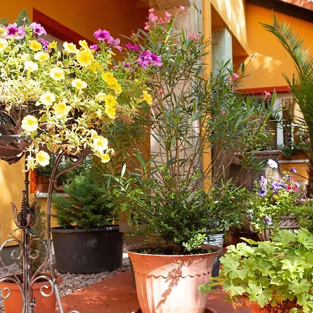 Hotel-restaurant Weinberg Hotel 3*