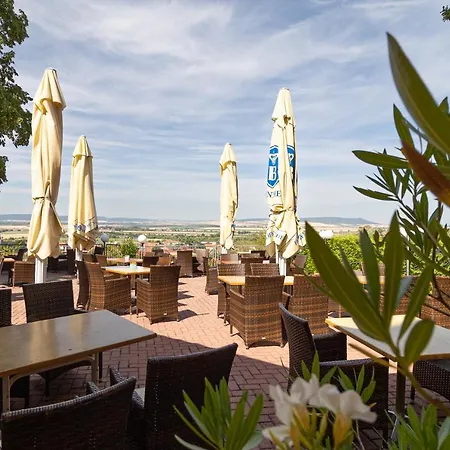 Hotel-restaurant Weinberg Hotel 3*