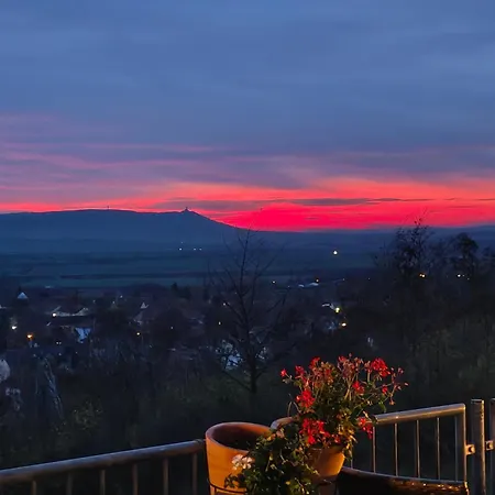 ホテル Hotel-restaurant Weinberg 3*