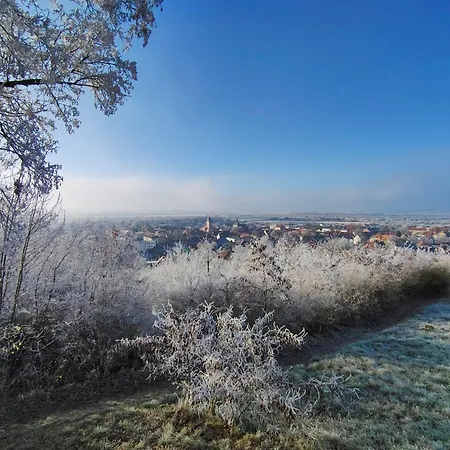 ホテル Hotel-restaurant Weinberg 3*