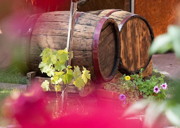 ホテル Hotel-restaurant Weinberg