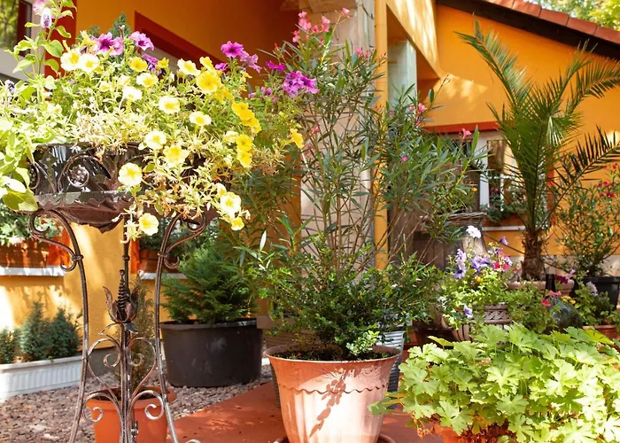 Hotel-restaurant Weinberg ホテル 3*