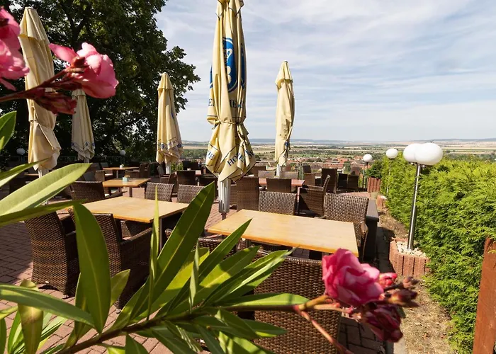 Hotel-restaurant Weinberg 3* Artern