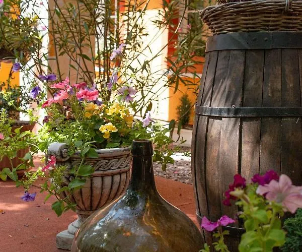 ホテル Hotel-restaurant Weinberg Artern