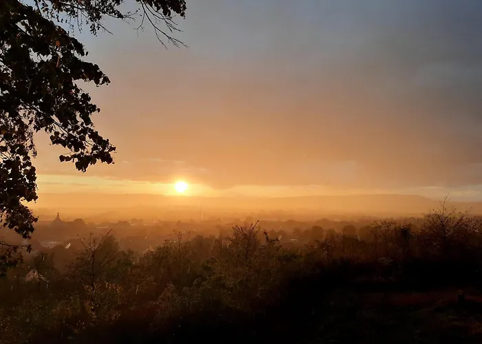 Hotel-restaurant Weinberg ホテル Artern