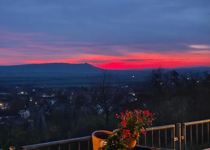 ホテル Hotel-restaurant Weinberg 3*