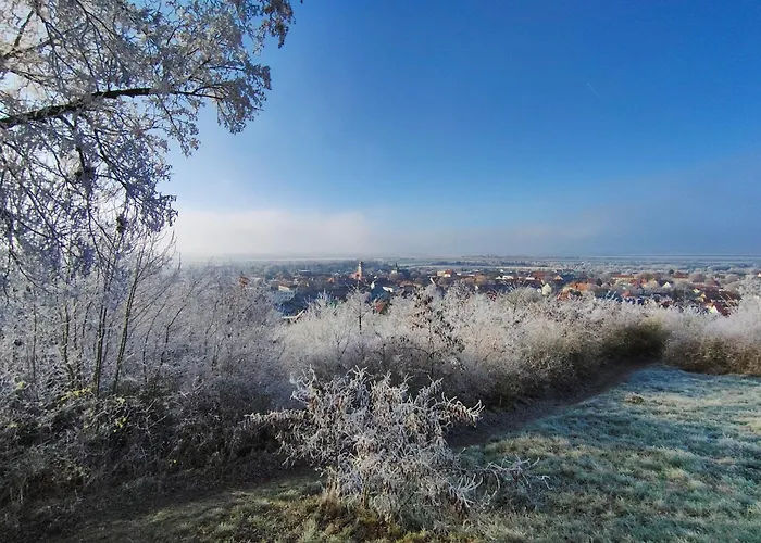 ホテル Hotel-restaurant Weinberg 3*