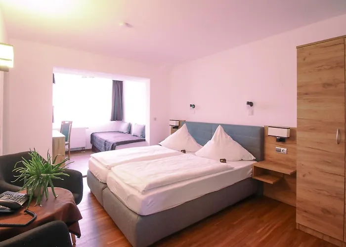 Hotel-restaurant Weinberg ホテル Artern